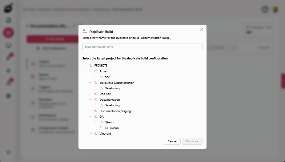 build-overview-duplicate-prompt