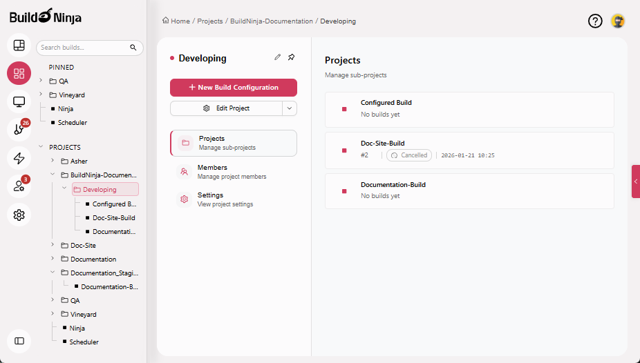 pin-project-interface