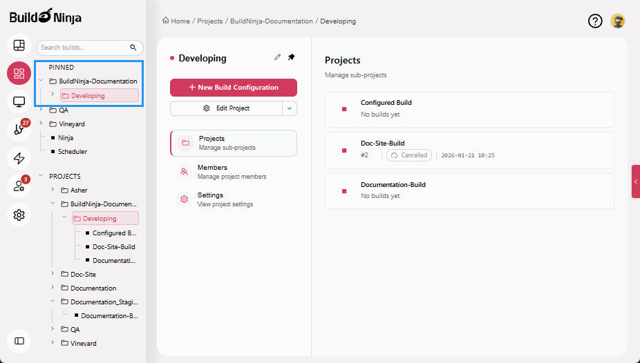 pinned-project